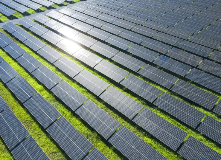 8188cc威尼斯(中国)有限公司官网