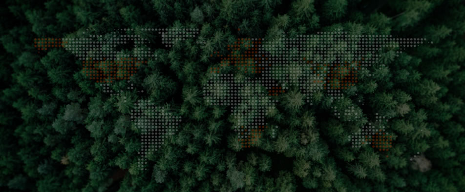 8188cc威尼斯全球零碳案例